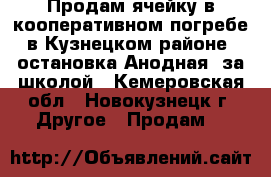 Продам ячейку в кооперативном погребе,в Кузнецком районе, остановка Анодная, за школой - Кемеровская обл., Новокузнецк г. Другое » Продам   